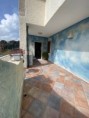 /album/galleria-foto-quadrivano-con-ampi-spazi-esterni-a-pochi-passi-dalla-spiaggia/ricciu-10-jpg/